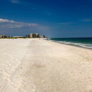 Meet your Posher, Krysta